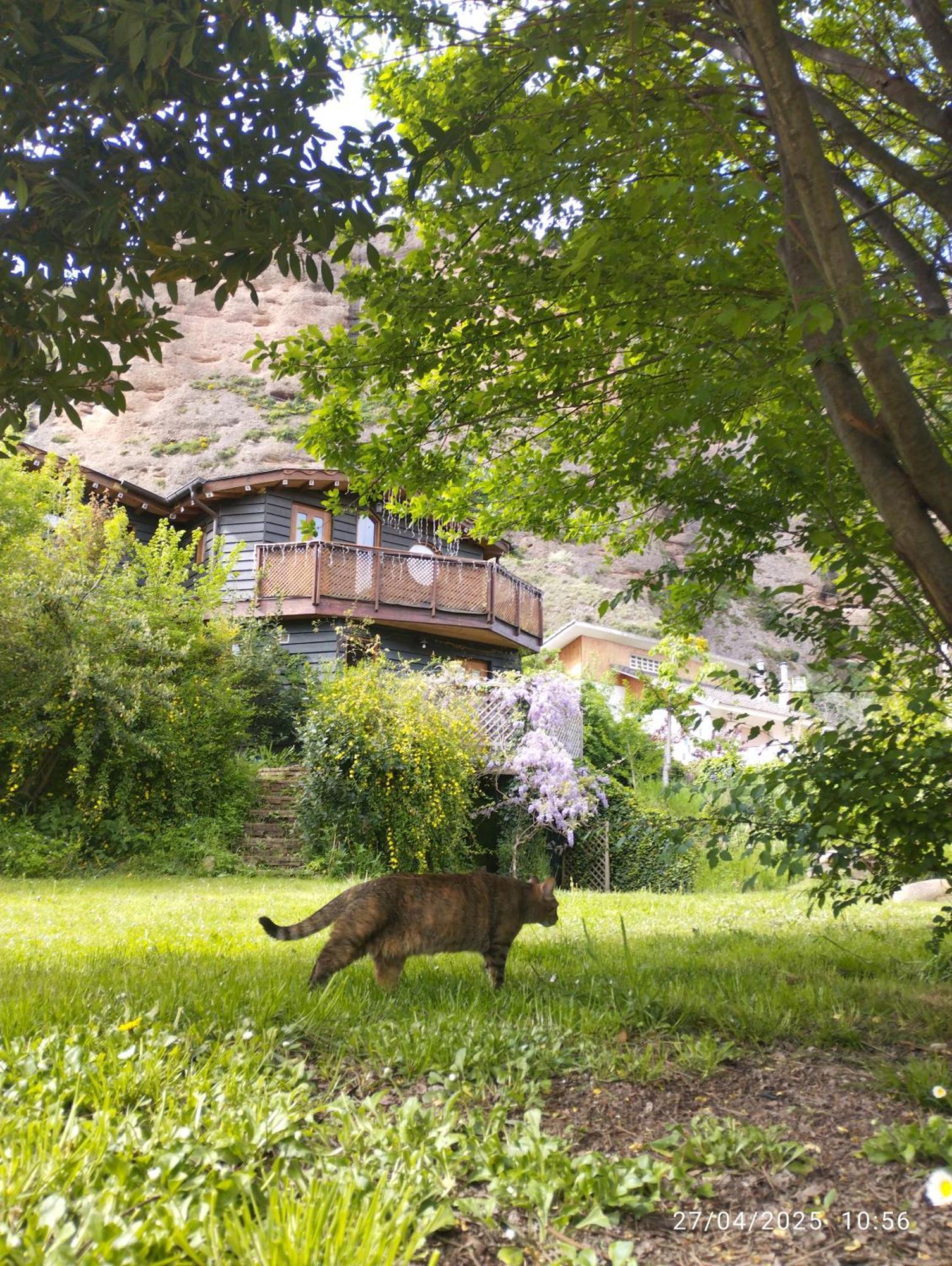 La Casa Verde Islallana Exterior photo
